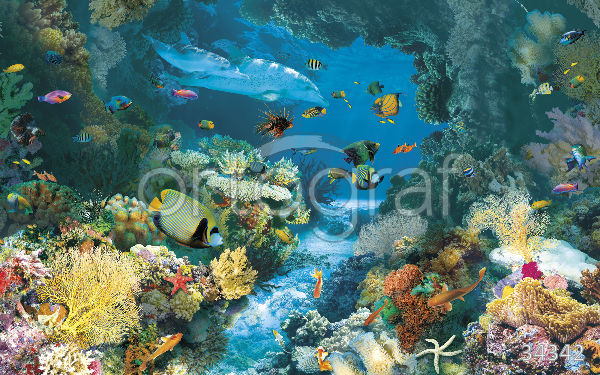 Фрески Ortograf арт 34342 фото 1