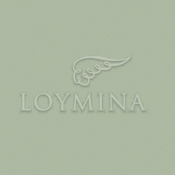 Обои Loymina арт Jet7 005 фото 1