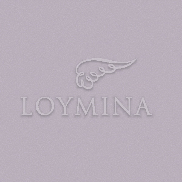 Обои Loymina арт Jet7 008 фото 1
