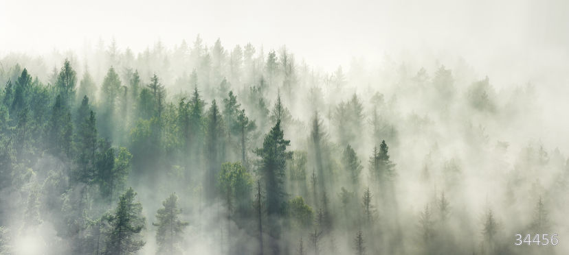 Фрески Ortograf арт 34456 фото 1