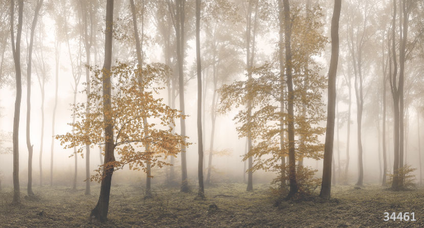 Фрески Ortograf арт 34461 фото 1