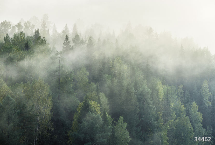 Фрески Ortograf арт 34462 фото 1