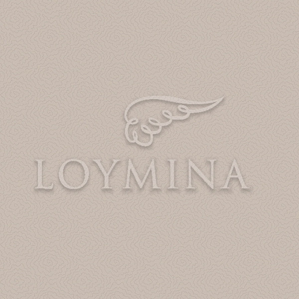 Обои Loymina арт Jet7 012 фото 1