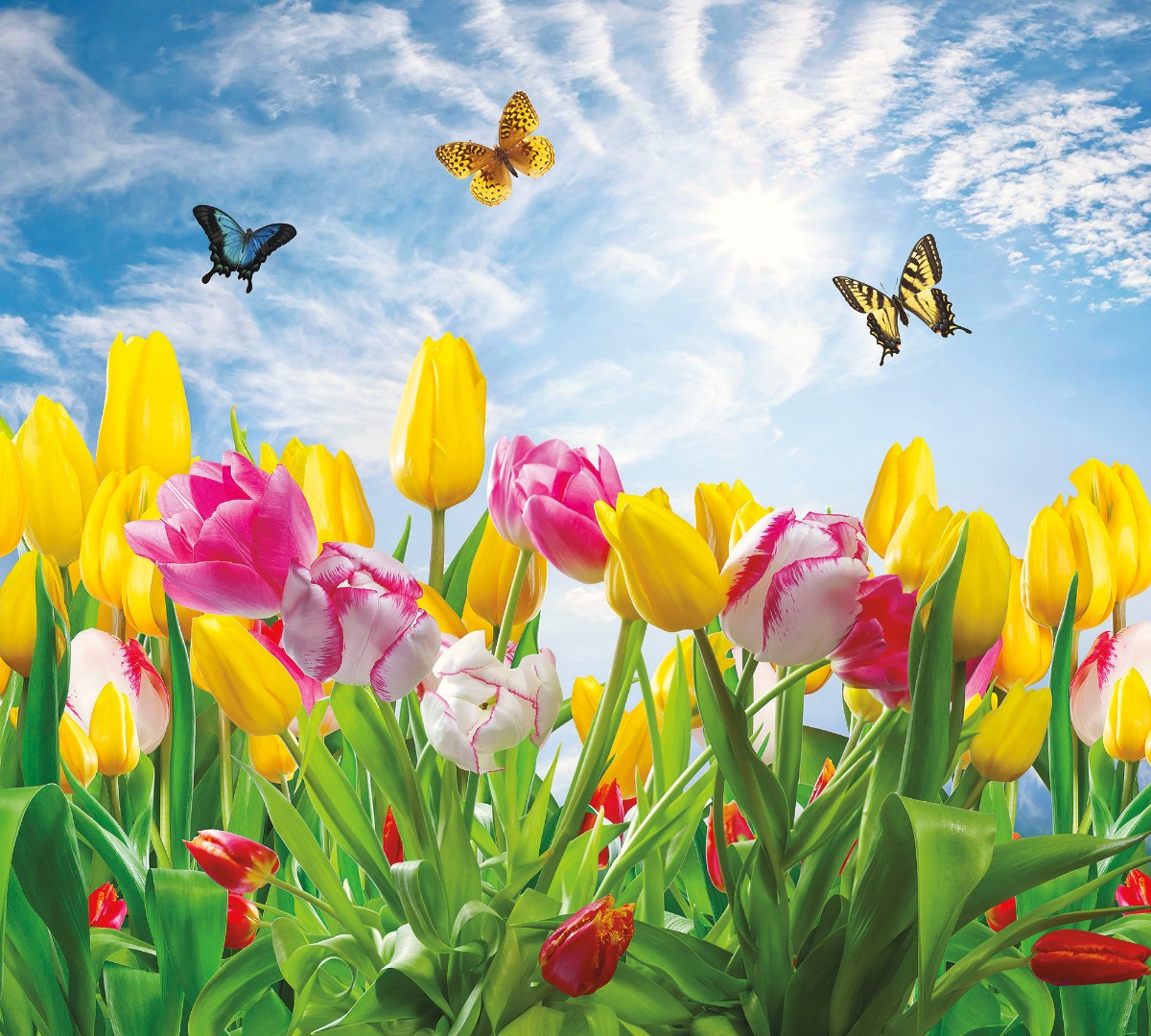 Фрески Ortograf арт 50046 фото 1