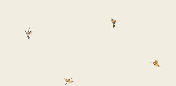 Обои Andrea Rossi арт 54356-2 фото 1