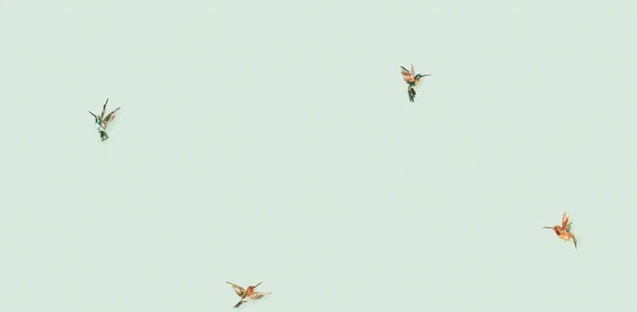 Обои Andrea Rossi арт 54356-5 фото 1