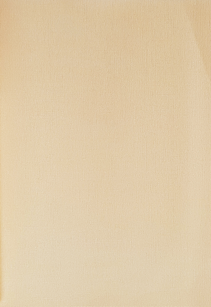 Обои Solo арт 240490 фото 1