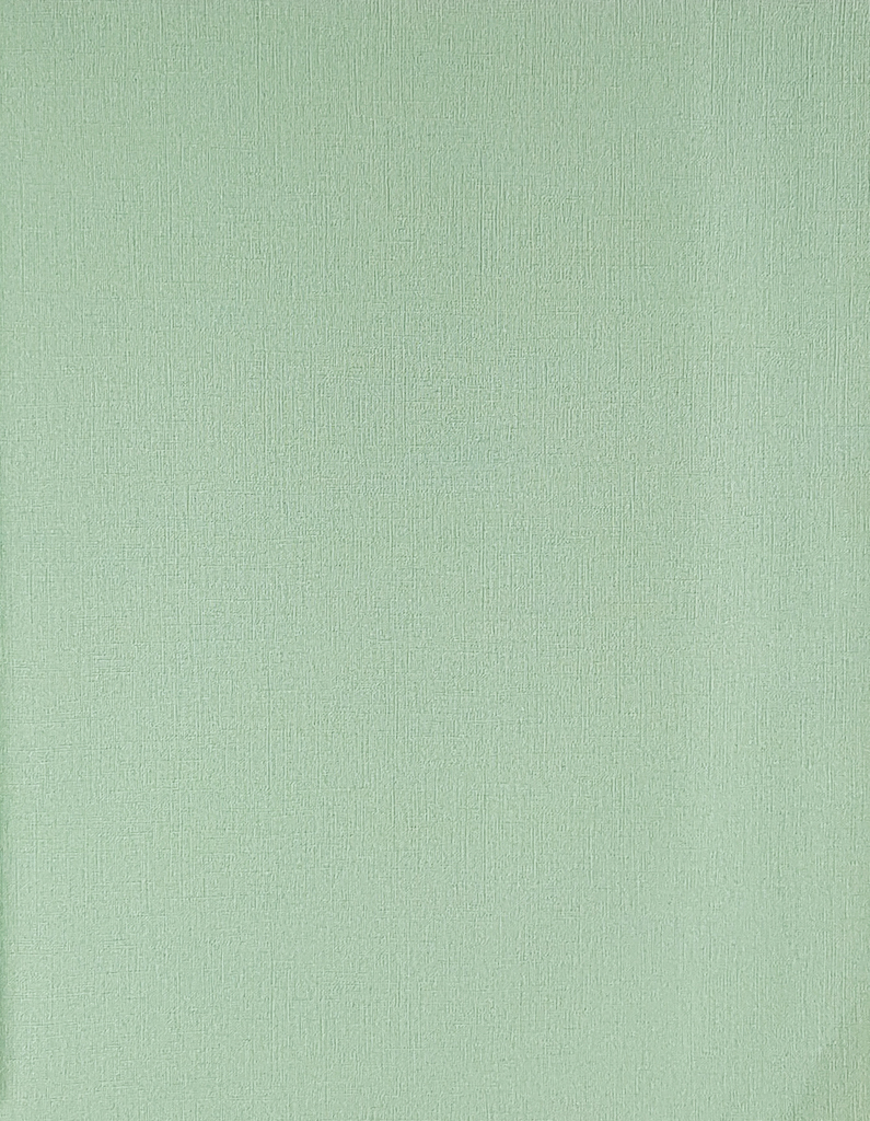 Обои Solo арт 240493 фото 1