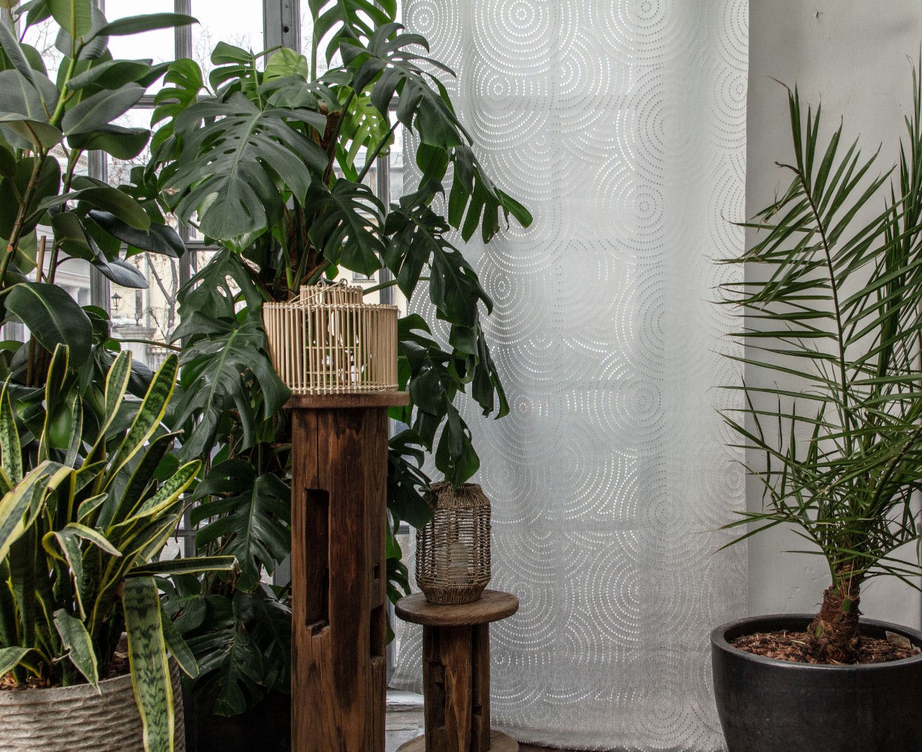 Ткани 5avenue арт Rhapsody 31 фото 2