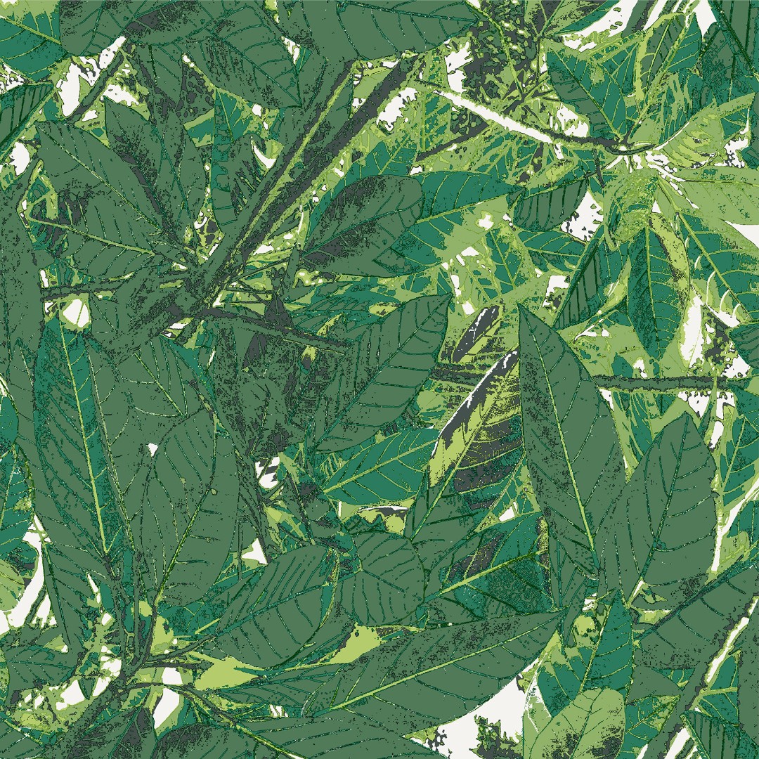 Обои Decor Maison арт 5337-3 фото 1