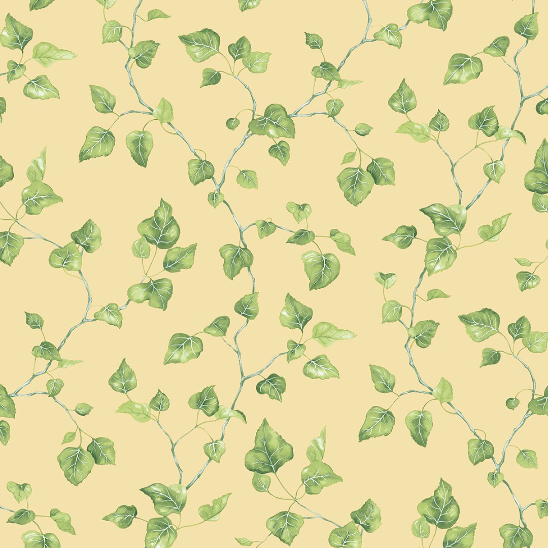 Обои Aura арт G45430 фото 1