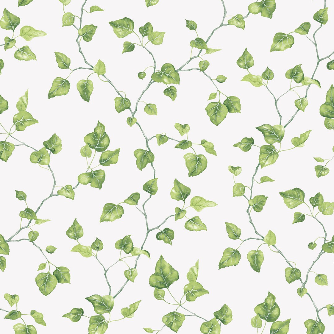 Обои Aura арт G45431 фото 1