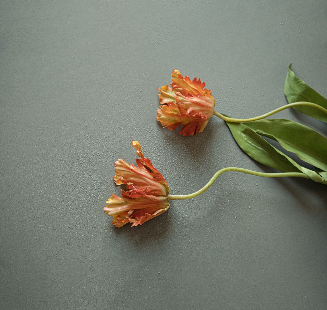 Обои Loymina арт Ru10 006 фото 2