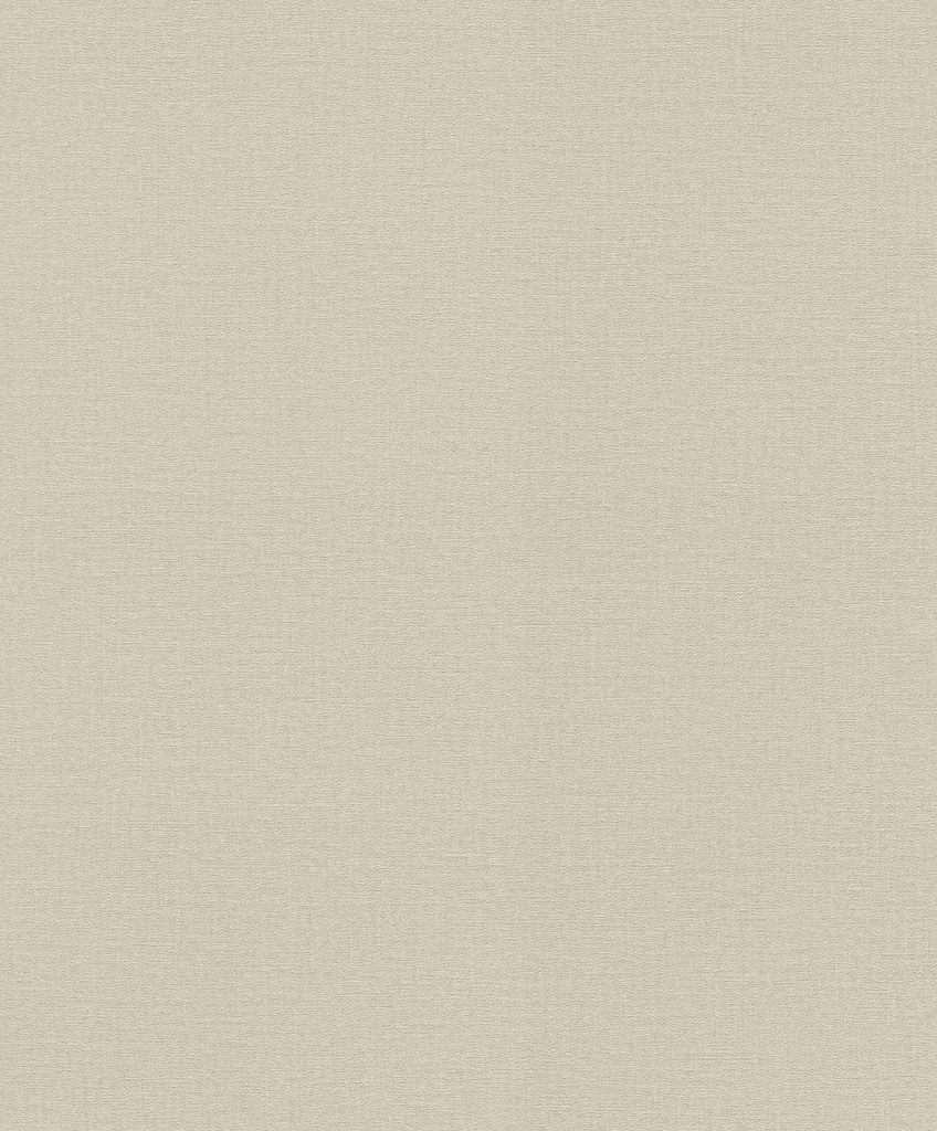 Обои Rasch арт 555851 фото 1