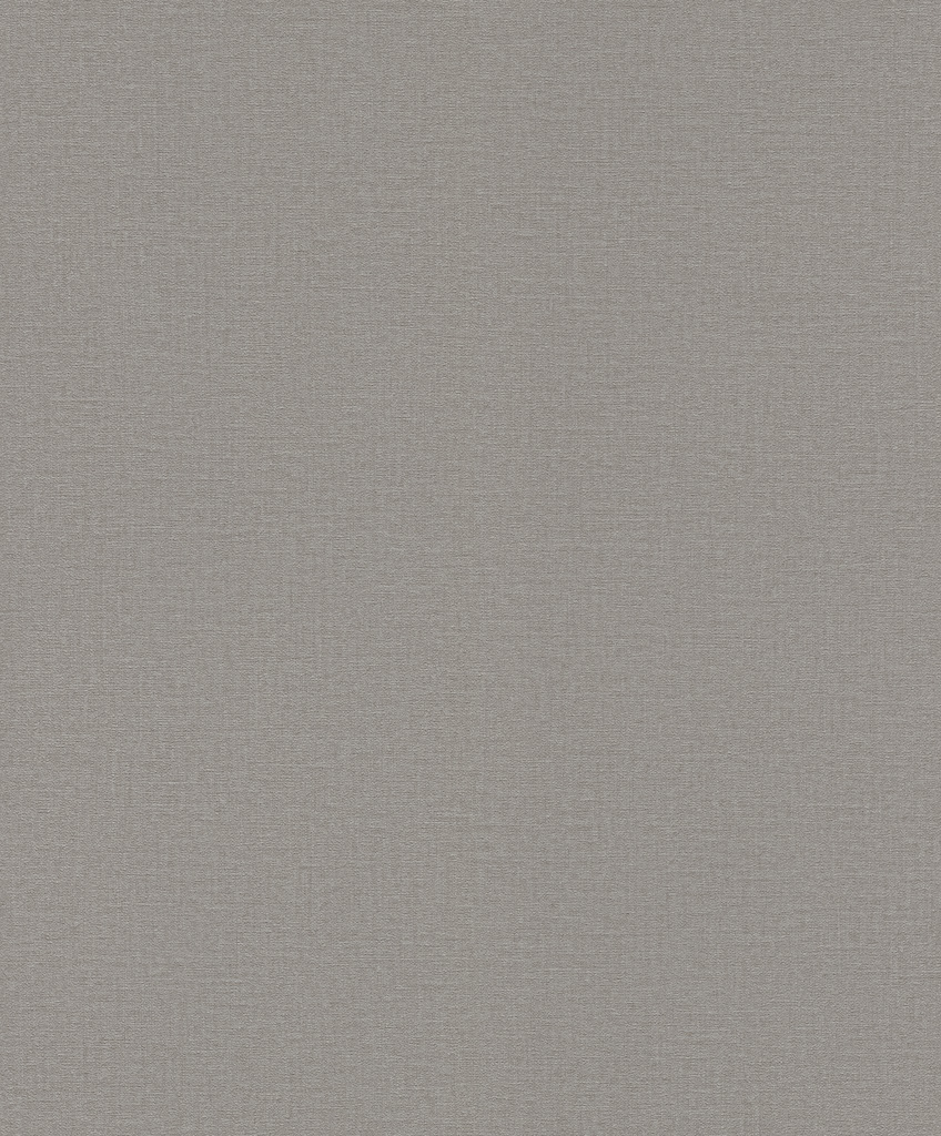 Обои Rasch арт 555875 фото 1