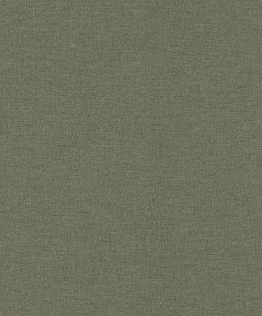 Обои Rasch арт 555943 фото 1