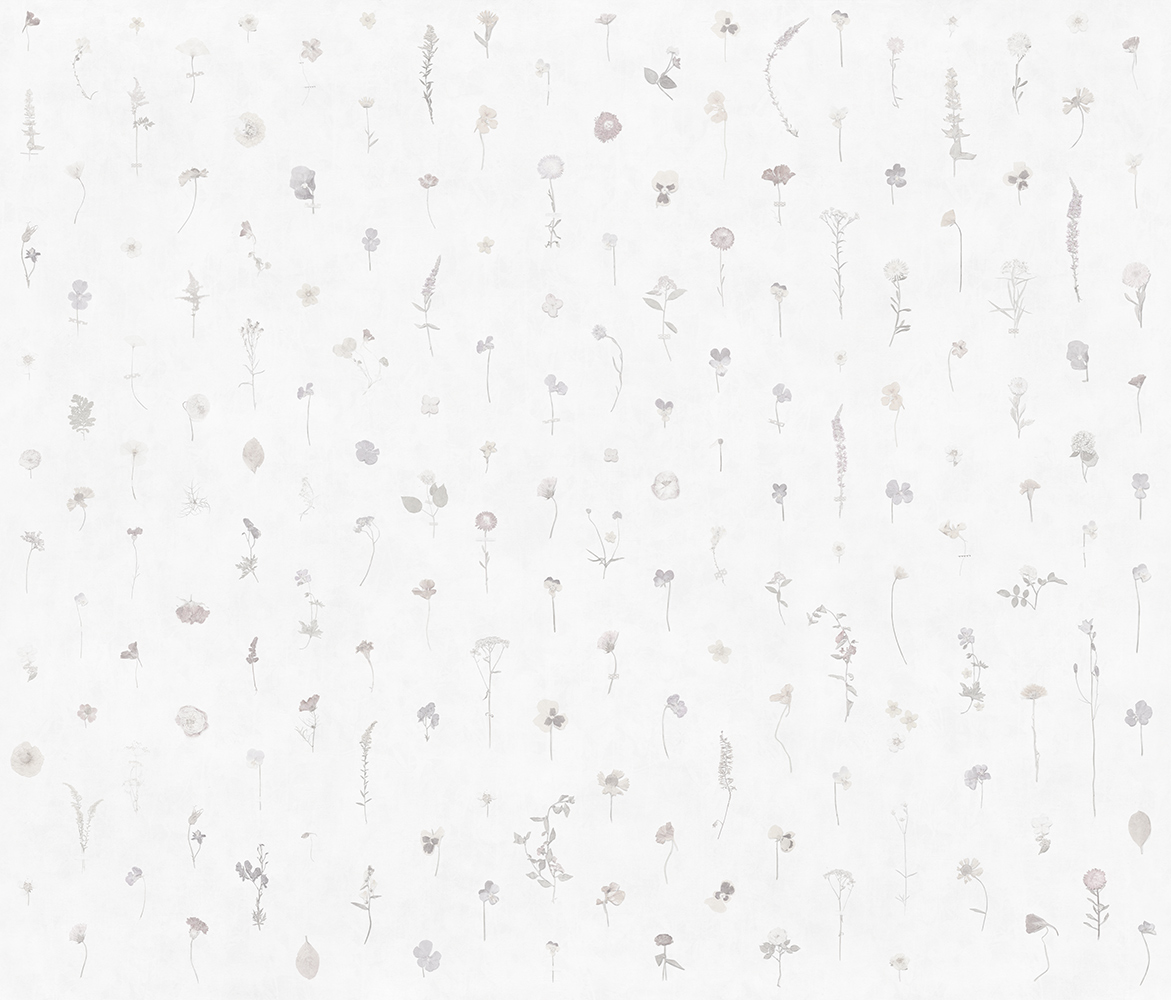 Фотообои Factura арт Fragility-1 фото 1