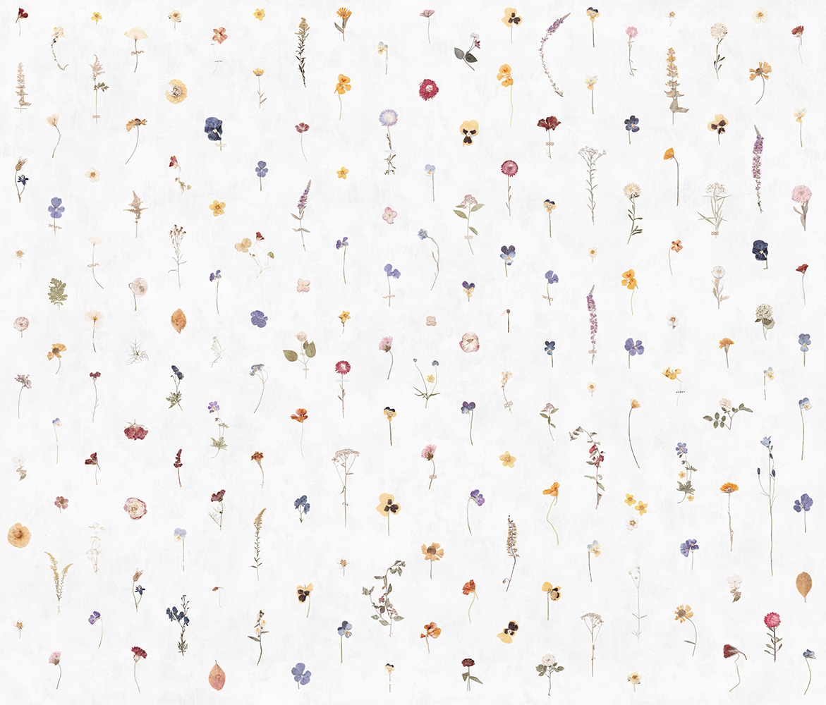 Фотообои Factura арт Fragility-2 фото 1