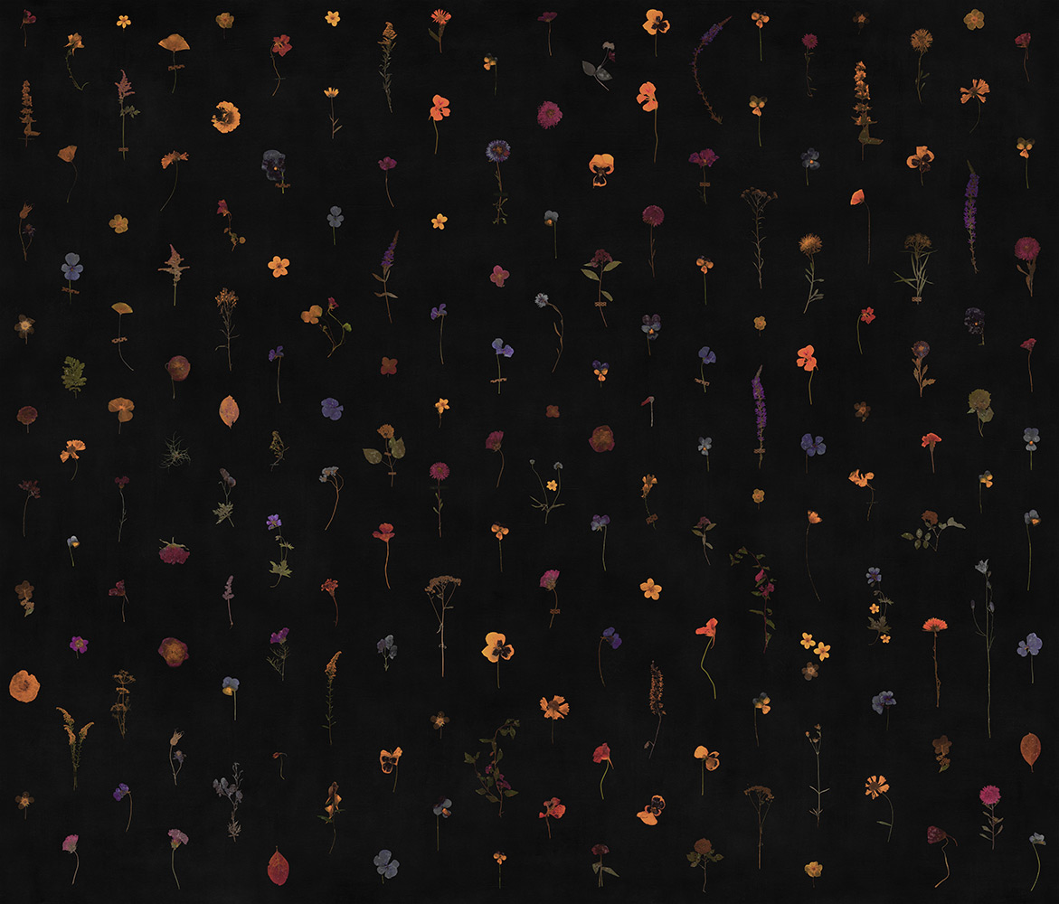 Фотообои Factura арт Fragility-5 фото 1