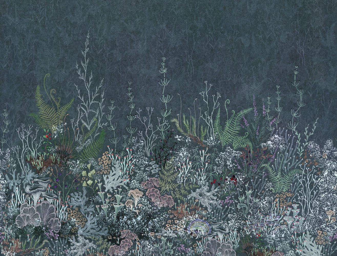 Фотообои Factura арт Karelia-8 фото 1