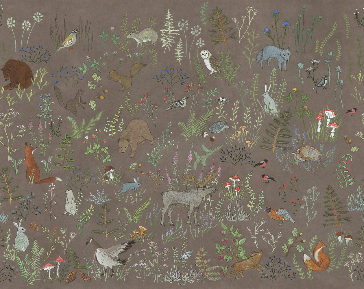 Фотообои Factura арт Siberia-3 фото 1