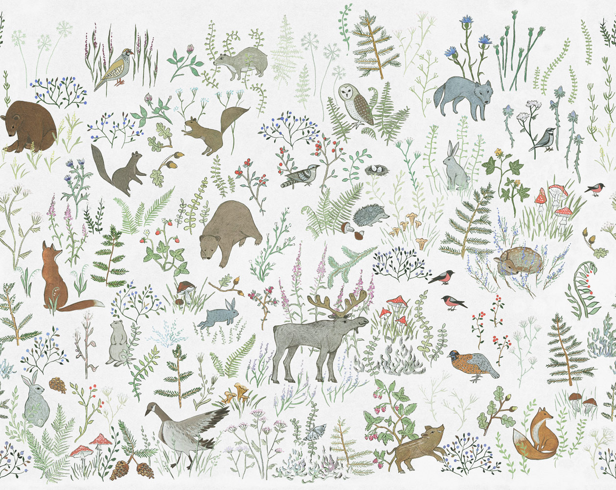 Фотообои Factura арт Siberia-6 фото 1