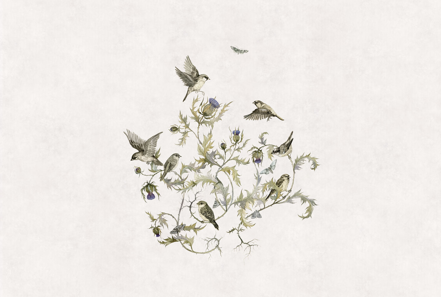 Фотообои Factura арт Vivaldi-1 фото 1