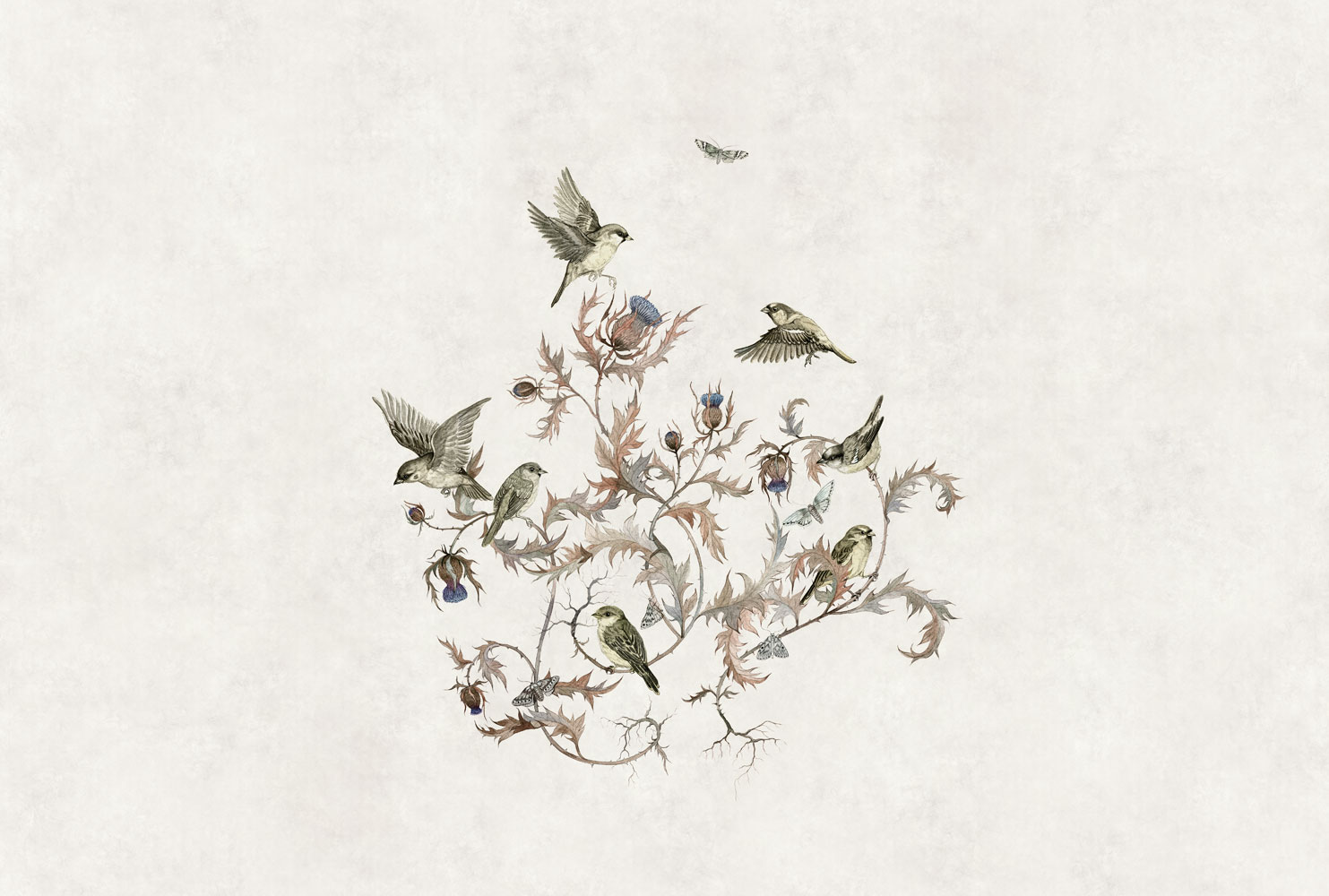 Фотообои Factura арт Vivaldi-2 фото 1