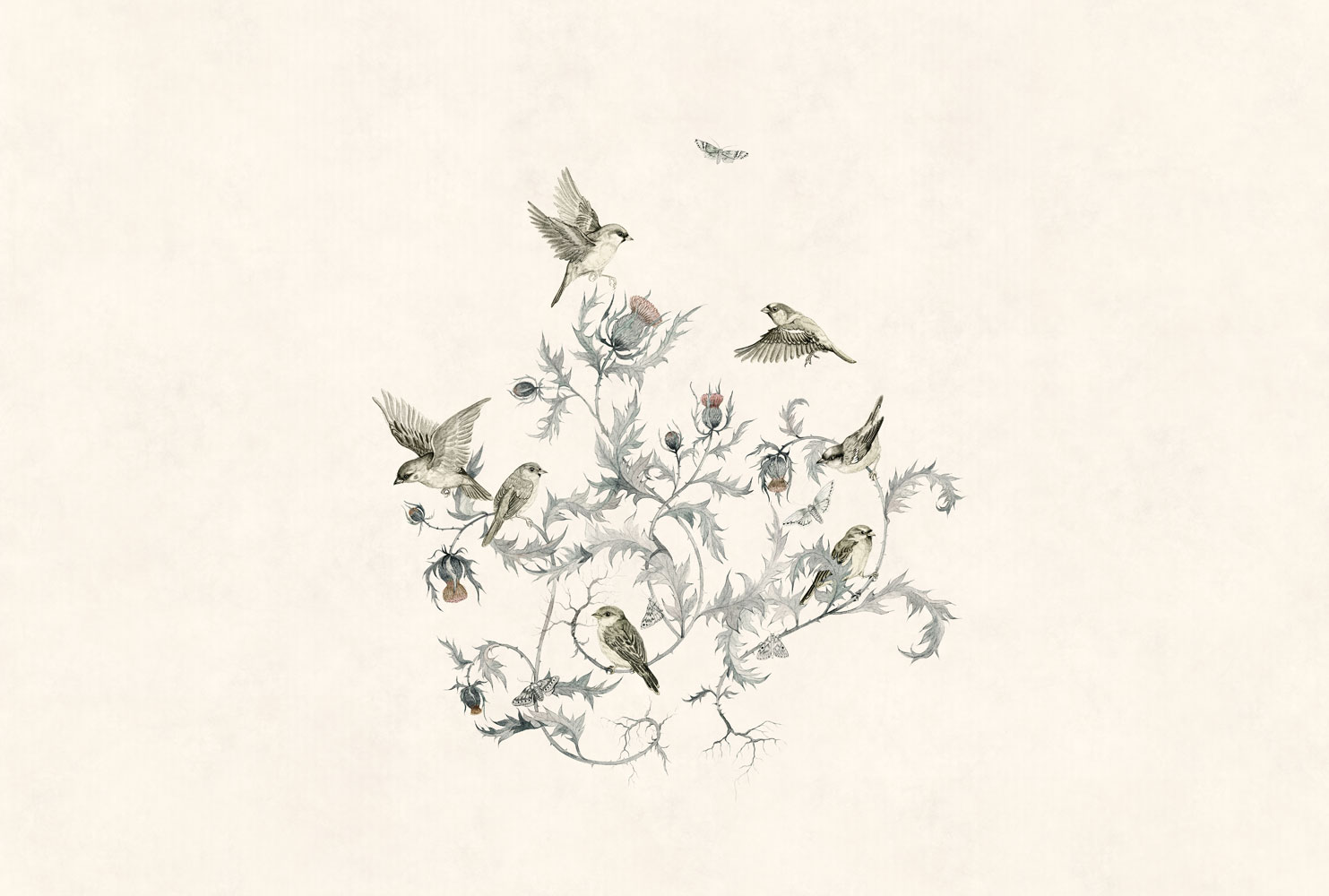 Фотообои Factura арт Vivaldi-3 фото 1