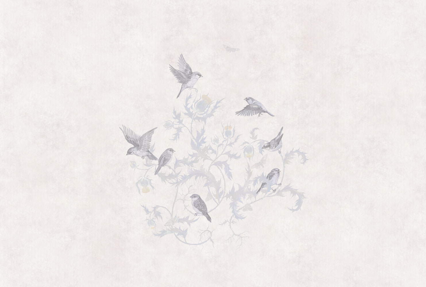 Фотообои Factura арт Vivaldi-4 фото 1