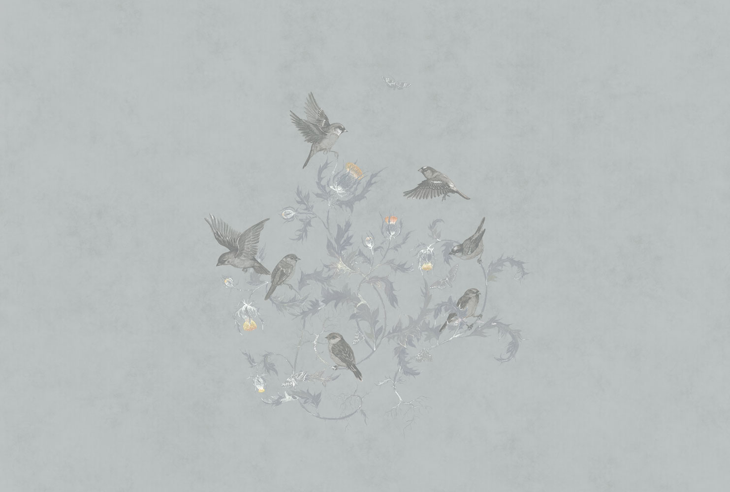 Фотообои Factura арт Vivaldi-6 фото 1