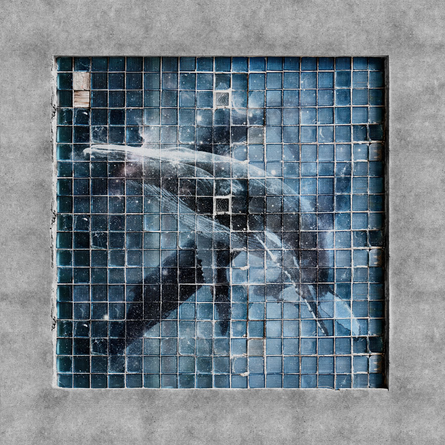 Фотообои Factura арт Blue Whale-1 фото 1