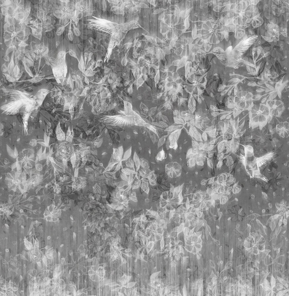 Фотообои Factura арт Colibri-10 фото 1