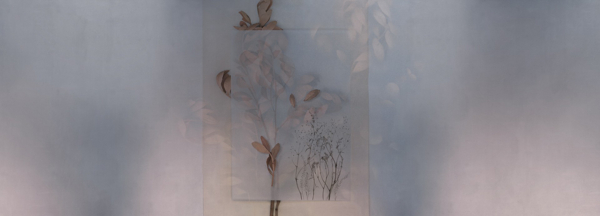 Фотообои Factura арт Evigilatio-1 фото 1