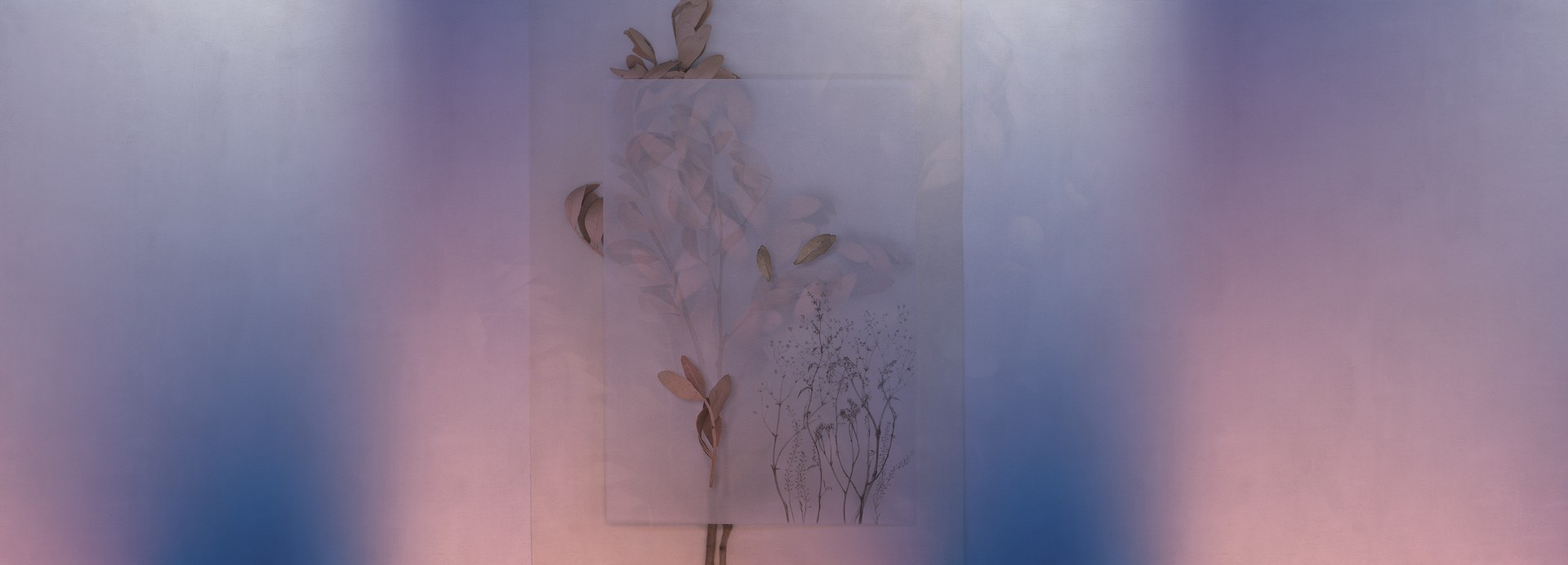 Фотообои Factura арт Evigilatio-6 фото 1