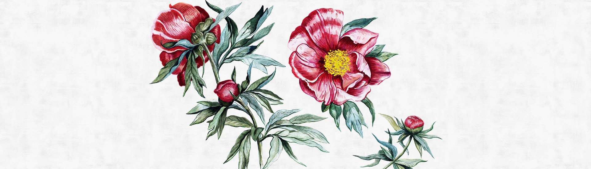 Фотообои Factura арт Red Peony-4 фото 1