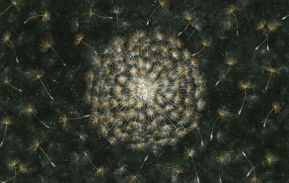 Фотообои Factura арт Sunshine-4 фото 1