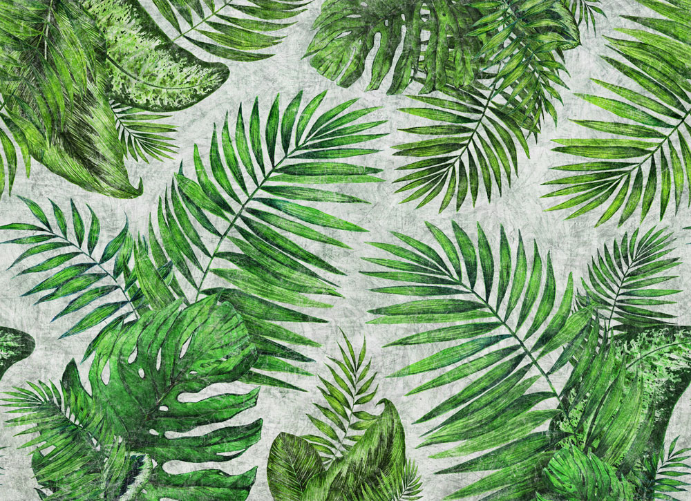 Фотообои Factura арт Tropical-1 фото 1