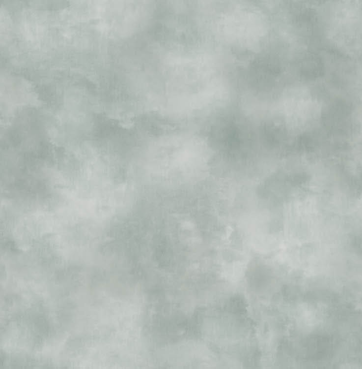 Обои Sirpi арт 1VH 24651 фото 1