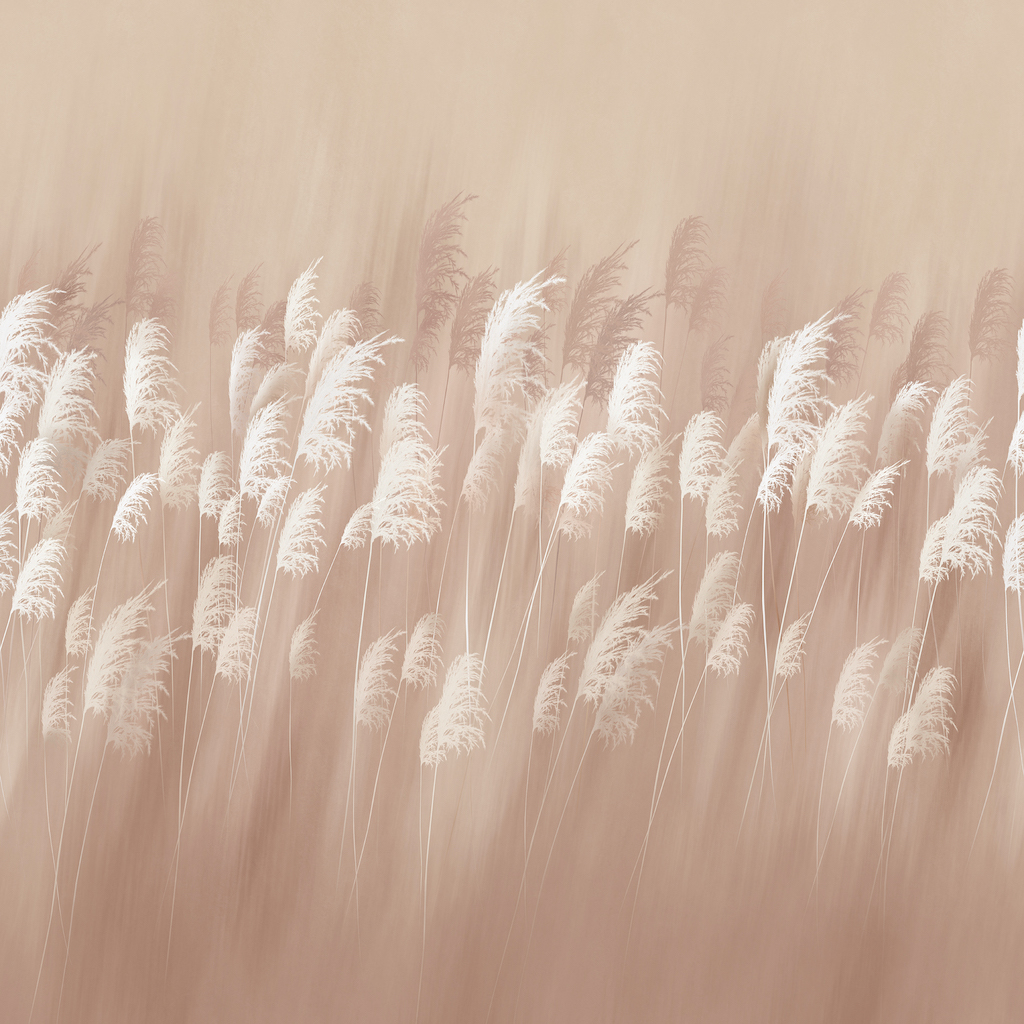 Фрески Ortograf арт 34719 фото 1