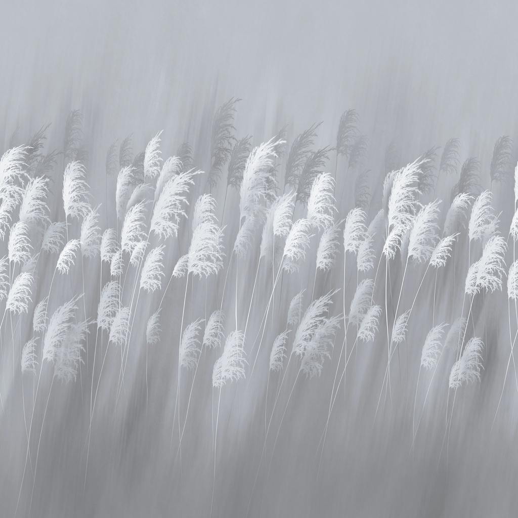 Фрески Ortograf арт 34720 фото 1