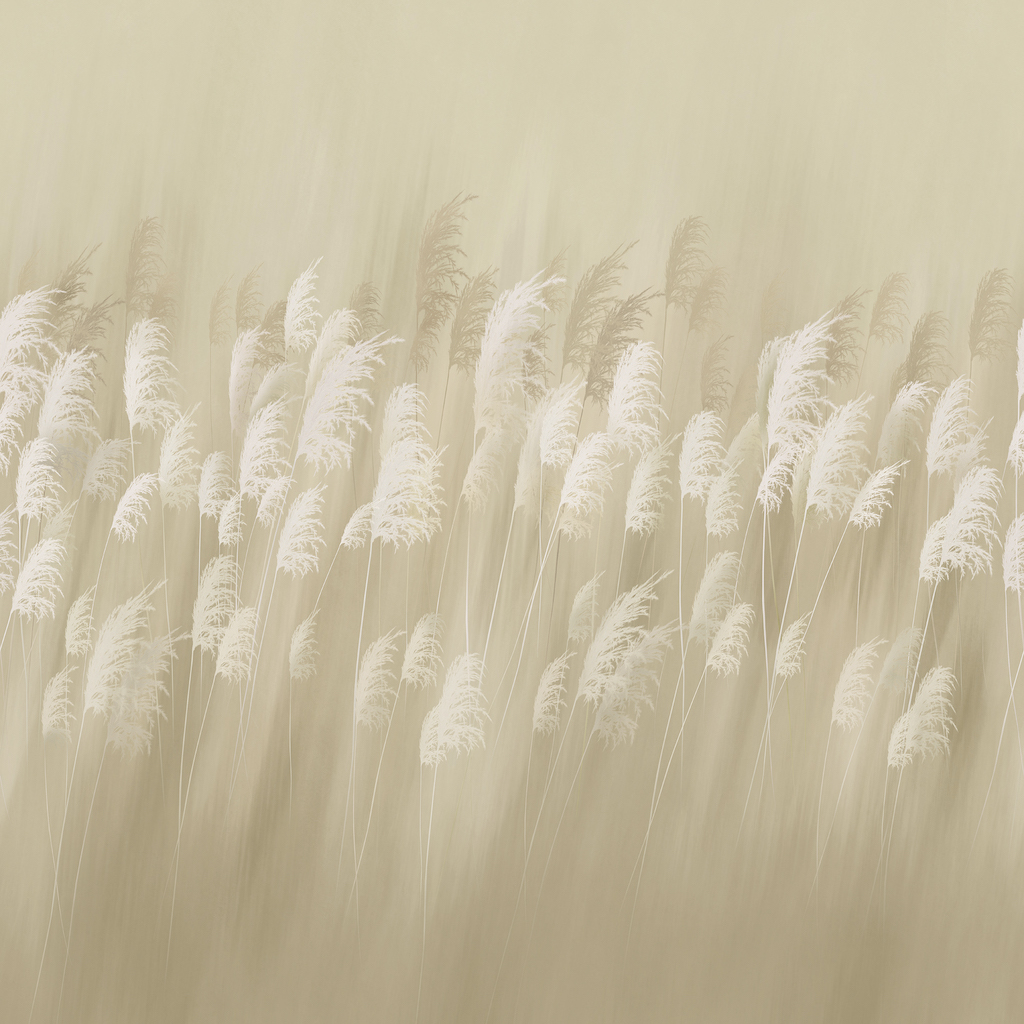 Фрески Ortograf арт 34721 фото 1