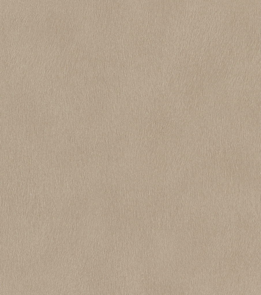 Обои Rasch арт 751055 фото 1