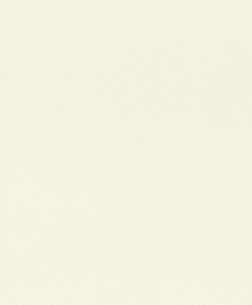 Обои Rasch арт 752632 фото 1