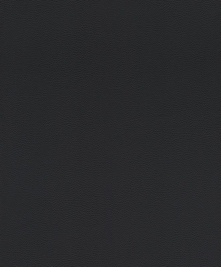 Обои Rasch арт 752656 фото 1