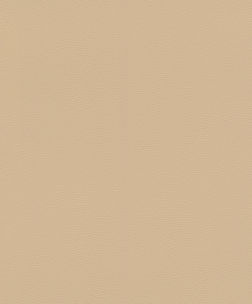 Обои Rasch арт 752694 фото 1