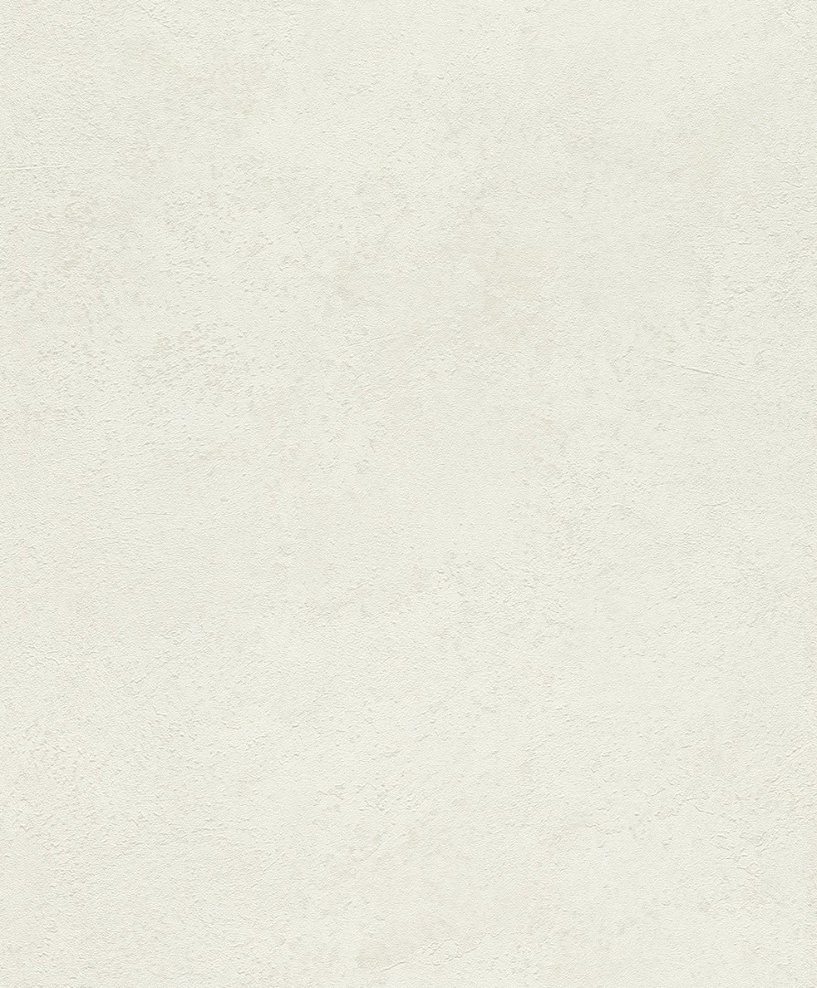 Обои Rasch арт 315127 фото 1