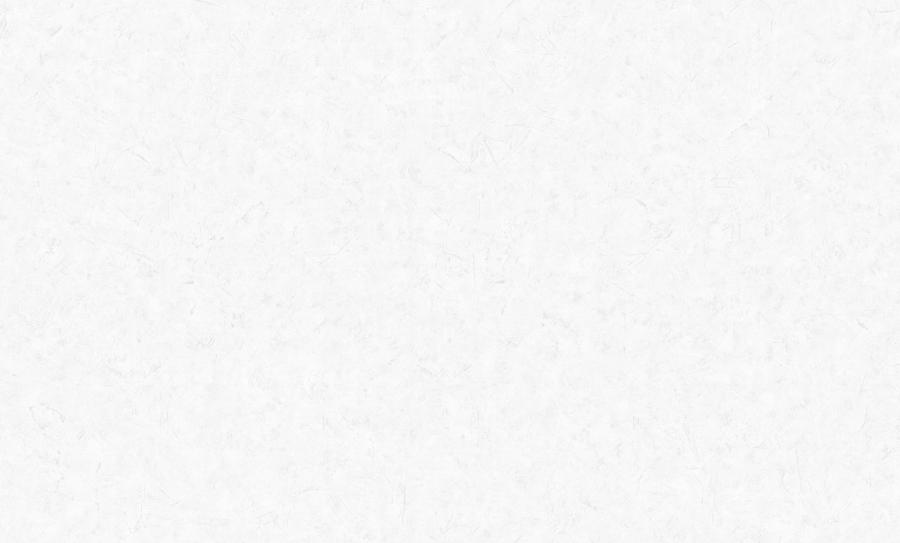 Обои Palitra Family арт FM72053-11 фото 1