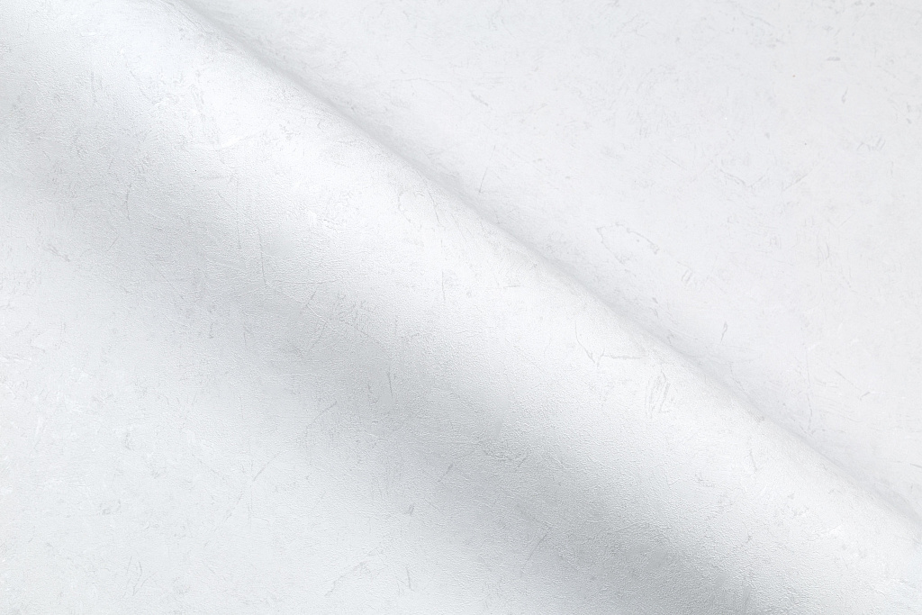 Обои Palitra Family арт FM72053-11 фото 4