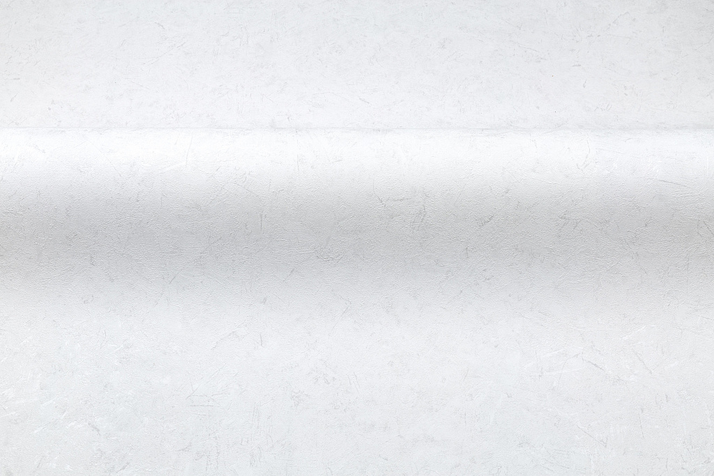 Обои Palitra Family арт FM72053-11 фото 5